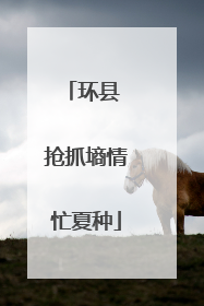 环县 抢抓墒情忙夏种