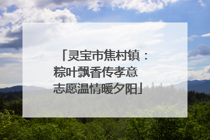 灵宝市焦村镇：粽叶飘香传孝意 志愿温情暖夕阳