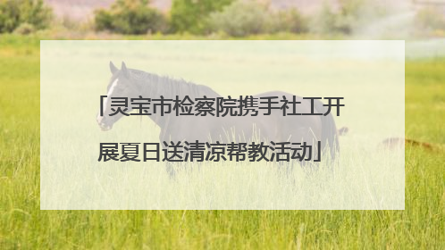 灵宝市检察院携手社工开展夏日送清凉帮教活动