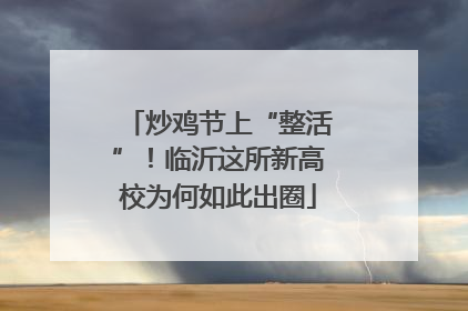 炒鸡节上“整活”！临沂这所新高校为何如此出圈