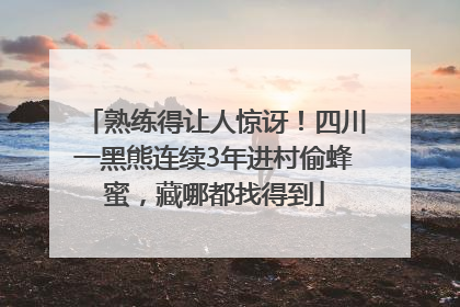 熟练得让人惊讶！四川一黑熊连续3年进村偷蜂蜜，藏哪都找得到
