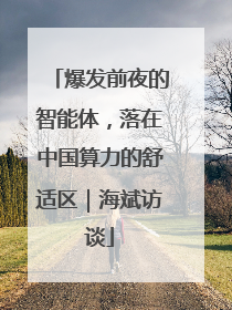 爆发前夜的智能体，落在中国算力的舒适区｜海斌访谈