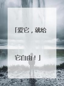 爱它，就给它自由！