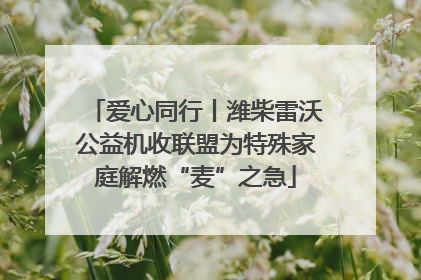 爱心同行丨潍柴雷沃公益机收联盟为特殊家庭解燃“麦”之急
