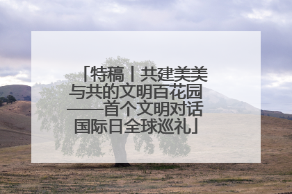 特稿丨共建美美与共的文明百花园——首个文明对话国际日全球巡礼