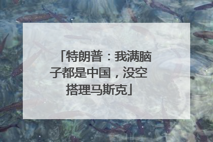 特朗普：我满脑子都是中国，没空搭理马斯克