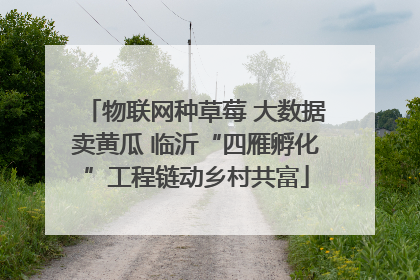 物联网种草莓 大数据卖黄瓜 临沂“四雁孵化”工程链动乡村共富