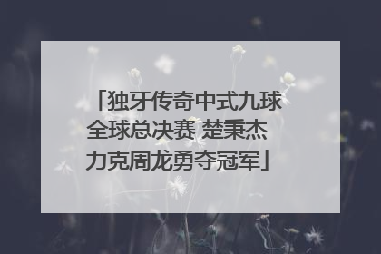 独牙传奇中式九球全球总决赛 楚秉杰力克周龙勇夺冠军