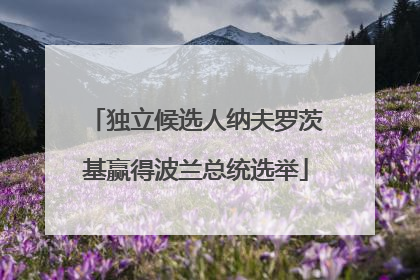 独立候选人纳夫罗茨基赢得波兰总统选举