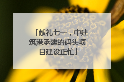 献礼七一，中建筑港承建的码头项目建设正忙