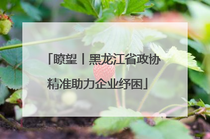 瞭望丨黑龙江省政协精准助力企业纾困