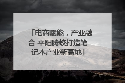 电商赋能，产业融合 平阳腾蛟打造笔记本产业新高地