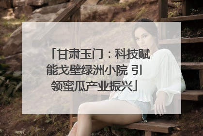 甘肃玉门：科技赋能戈壁绿洲小院 引领蜜瓜产业振兴