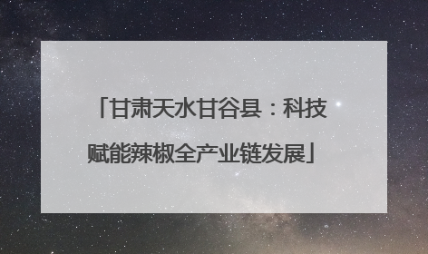 甘肃天水甘谷县：科技赋能辣椒全产业链发展
