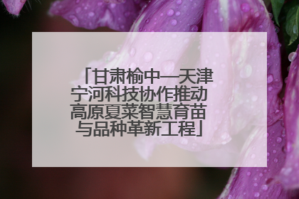 甘肃榆中—天津宁河科技协作推动高原夏菜智慧育苗与品种革新工程