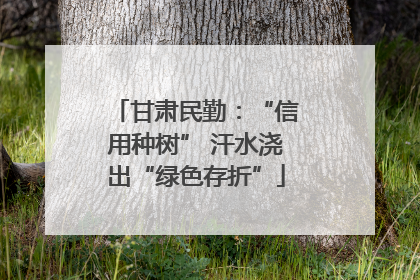 甘肃民勤：“信用种树” 汗水浇出“绿色存折”