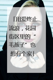 用爱终止流浪，花园街区里的“毛孩子”也想有个家