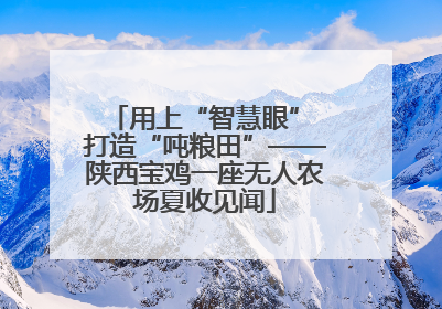 用上“智慧眼” 打造“吨粮田”——陕西宝鸡一座无人农场夏收见闻