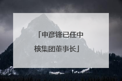 申彦锋已任中核集团董事长