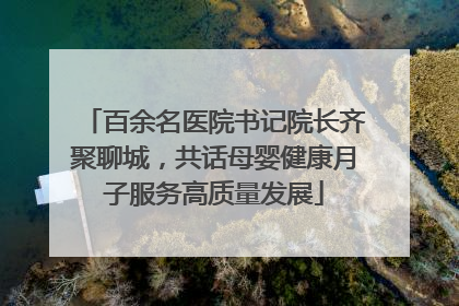 百余名医院书记院长齐聚聊城，共话母婴健康月子服务高质量发展