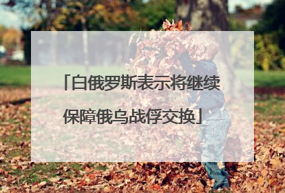 白俄罗斯表示将继续保障俄乌战俘交换