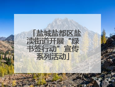 盐城盐都区盐渎街道开展“绿书签行动”宣传系列活动