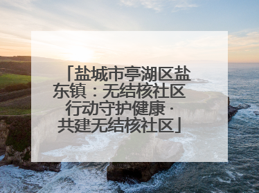 盐城市亭湖区盐东镇：无结核社区行动守护健康 ·共建无结核社区