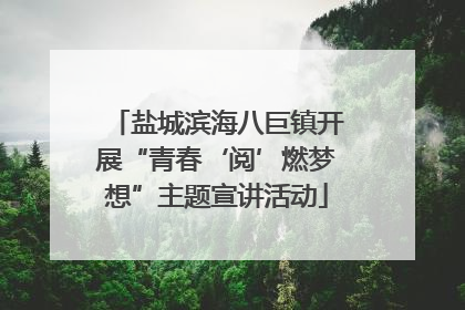 盐城滨海八巨镇开展“青春‘阅’燃梦想”主题宣讲活动