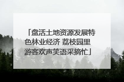 盘活土地资源发展特色林业经济 荔枝园里游客欢声笑语采摘忙