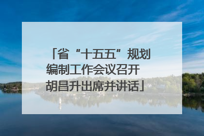 省“十五五”规划编制工作会议召开 胡昌升出席并讲话