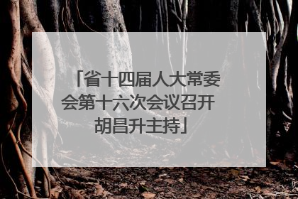 省十四届人大常委会第十六次会议召开 胡昌升主持