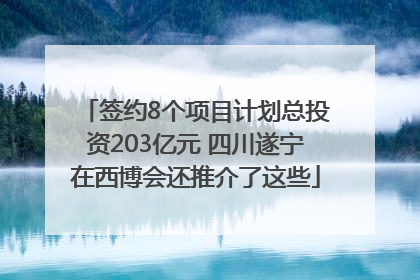 签约8个项目计划总投资203亿元 四川遂宁在西博会还推介了这些
