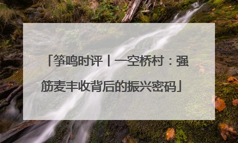 筝鸣时评丨一空桥村：强筋麦丰收背后的振兴密码