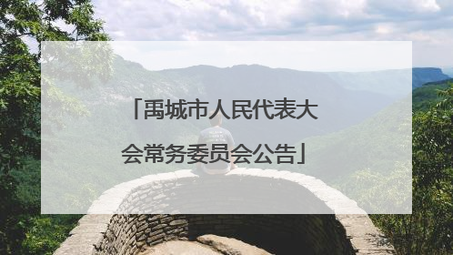 禹城市人民代表大会常务委员会公告