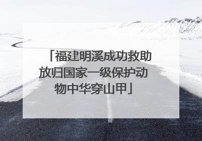 福建明溪成功救助放归国家一级保护动物中华穿山甲