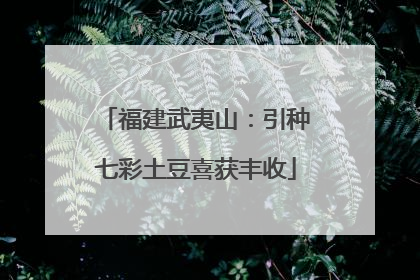 福建武夷山：引种七彩土豆喜获丰收