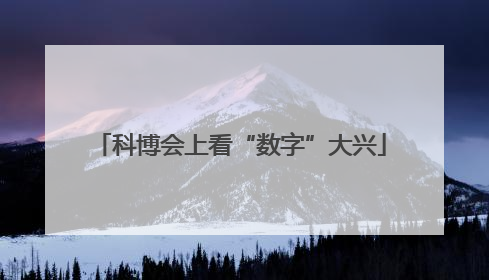 科博会上看“数字”大兴