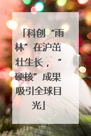 科创“雨林”在沪茁壮生长，“硬核”成果吸引全球目光