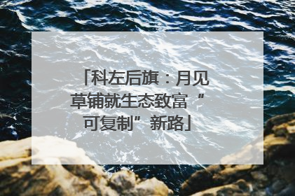 科左后旗：月见草铺就生态致富“可复制”新路