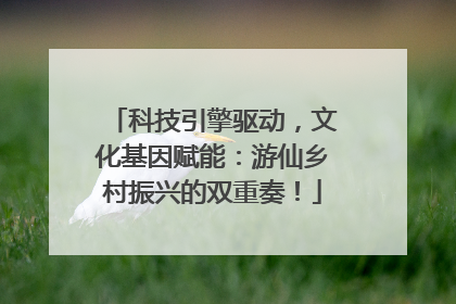 科技引擎驱动，文化基因赋能：游仙乡村振兴的双重奏！