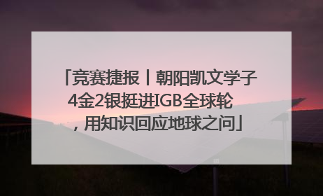 竞赛捷报丨朝阳凯文学子4金2银挺进IGB全球轮，用知识回应地球之问