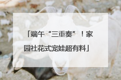 端午“三重奏”！家园社花式宠娃超有料