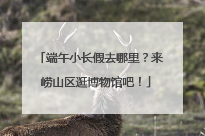 端午小长假去哪里？来崂山区逛博物馆吧！