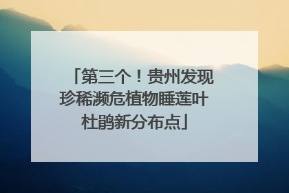 第三个！贵州发现珍稀濒危植物睡莲叶杜鹃新分布点