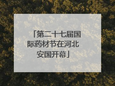 第二十七届国际药材节在河北安国开幕