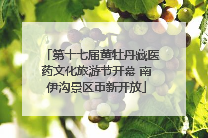 第十七届黄牡丹藏医药文化旅游节开幕 南伊沟景区重新开放