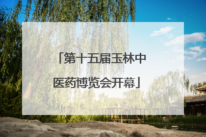 第十五届玉林中医药博览会开幕