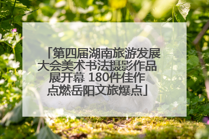 第四届湖南旅游发展大会美术书法摄影作品展开幕 180件佳作点燃岳阳文旅爆点