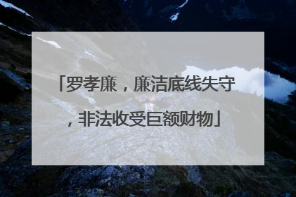 罗孝廉，廉洁底线失守，非法收受巨额财物