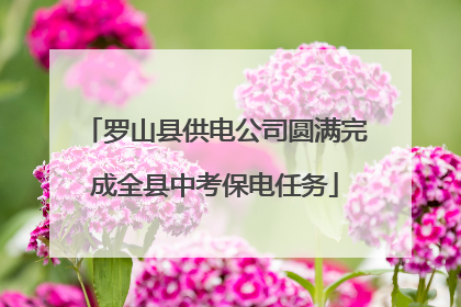 罗山县供电公司圆满完成全县中考保电任务